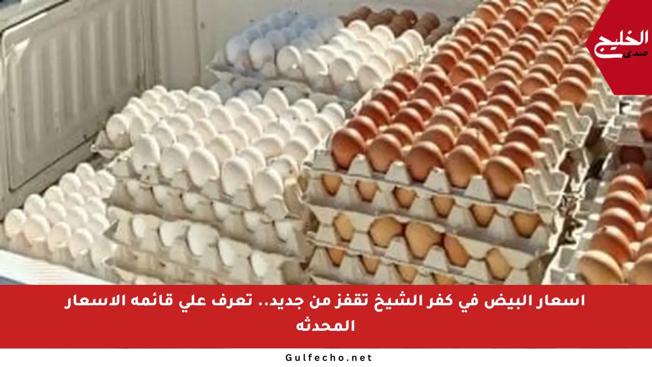 أسعار البيض في كفر الشيخ تقفز من جديد.. تعرف على قائمة الأسعار المحدثة